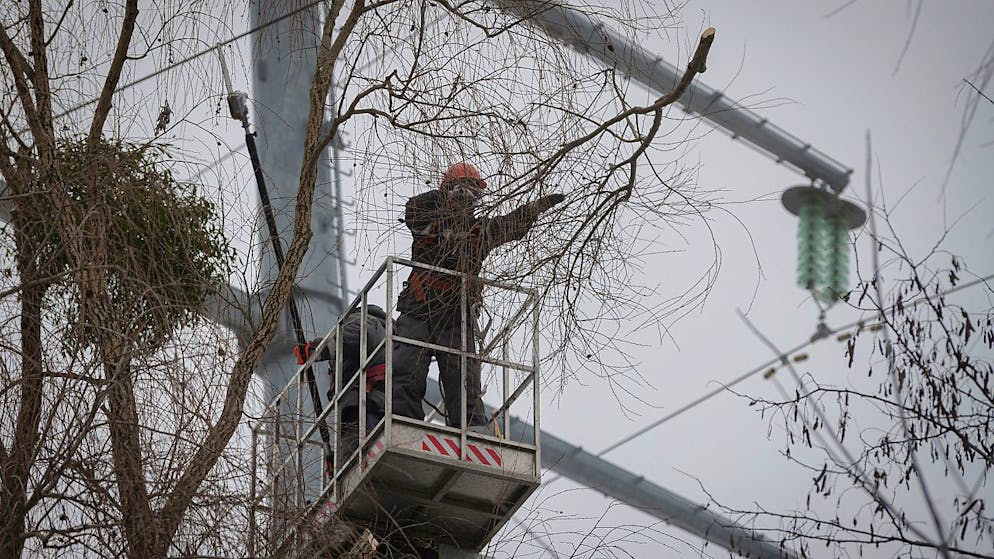 Arbeiter des Stromversorgungsunternehmens DTEK Stromleitungen entfernen Äste von Stromleitungen, während Instandhaltungsmaßnahmen. Foto: Andrew Kravchenko/AP/dpa