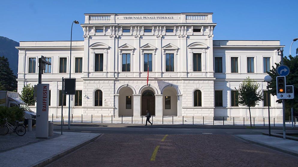 Al Tribunale penale federale (TPF) si è aperto oggi il processo contro un 29enne che due anni fa uccise a coltellate un portoghese a Morges (VD). All'imputato sono anche attribuiti diversi reati penali commessi prima, tra cui sostegno all'ISIS.