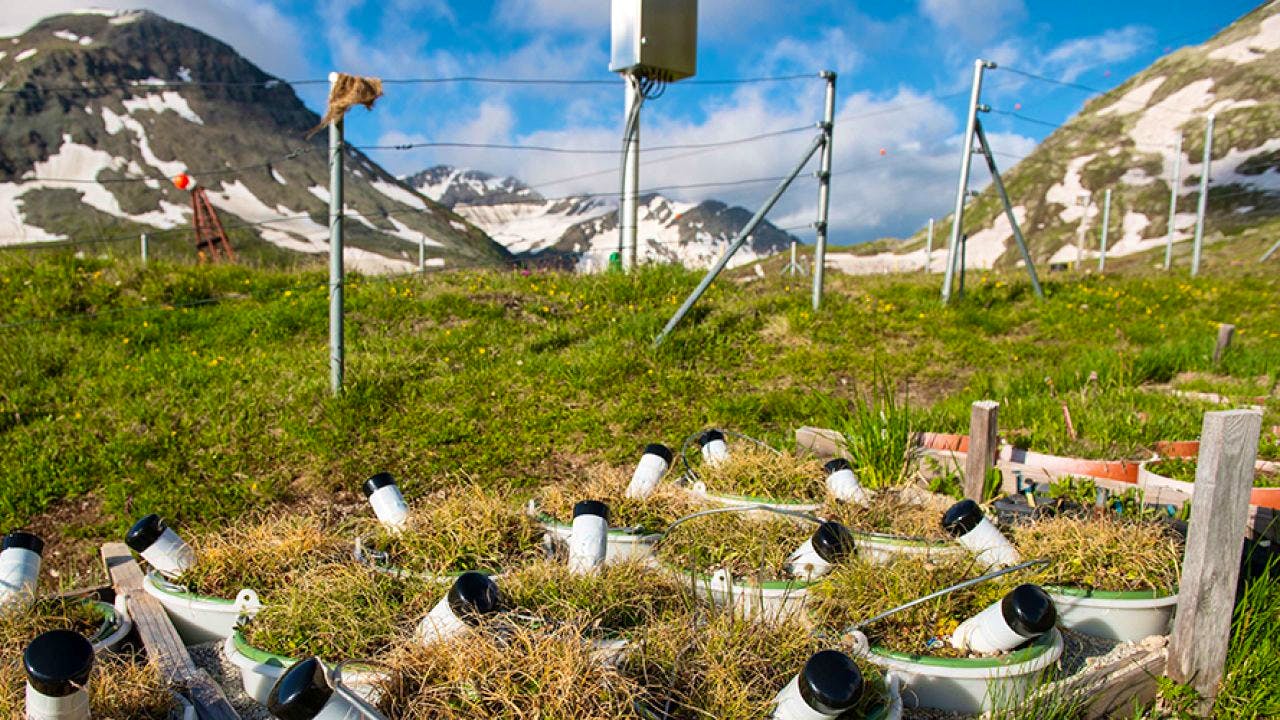 Wissen. Alpen sind wegen des Klimawandels bereits im Sommer braun