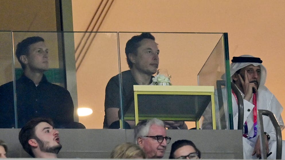 Folgt nun Trumps Schwiegersohn?. Mehrheit der Twitter-Nutzer stimmt für Musks Abgang