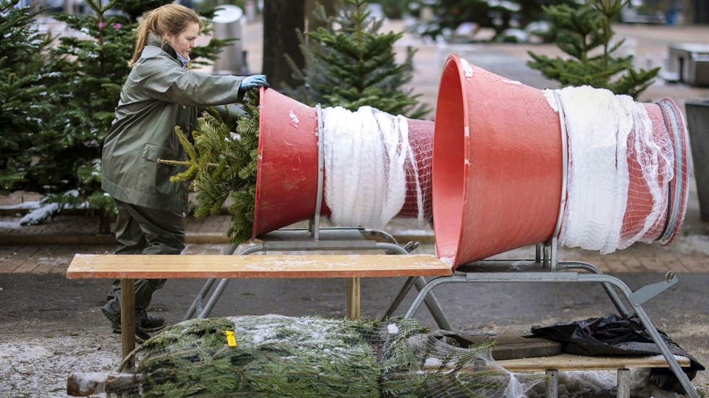 Oft ist der Kauf eines Christbaums nicht einfach. Er muss nicht nur von der Grösse passen, sondern auch der Preis muss stimmen. Und ist er auch nachhaltig?