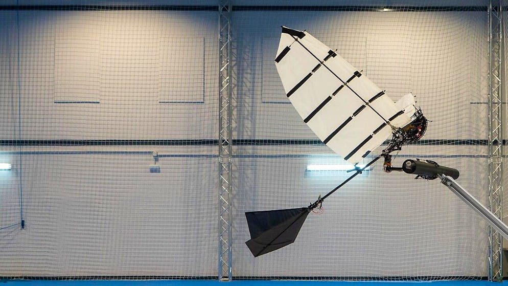 Ce robot volant capable de se poser comme un oiseau constitue un grand pas vers l’utilisation de robots ailés pour des tâches de manipulation et d’autres applications, selon les auteurs de cette recherche.