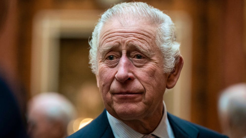 So finanzieren Harry und Meghan ihr Luxus-Leben. Zudem soll ihm sein Vater Charles  zum Abschied aus dem englischen Königshaus einen grösseren Betrag als Starthilfe überwiesen haben.