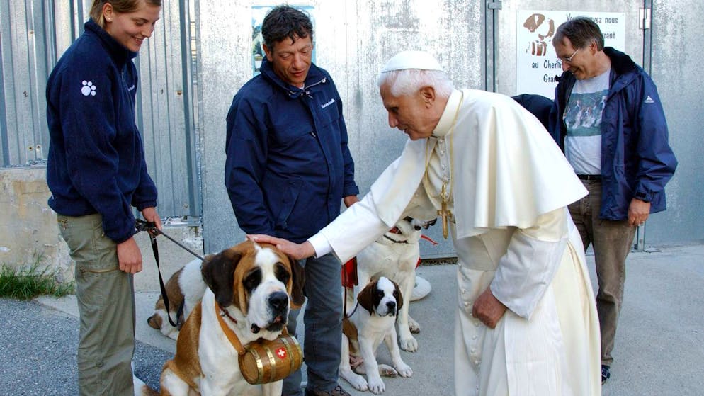 Leben und Wirken von Papst Benedikt XVI.. Streicheleinheit: Bei einem unagekündigten Besuch lässt Papst Benedikt XVI in Martigny Bernhardiner seine Güte spüren.