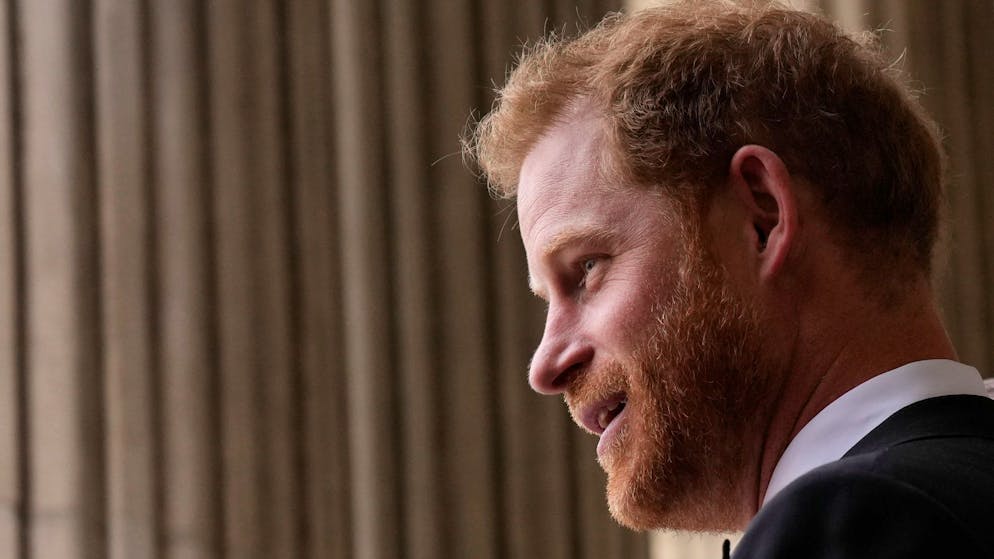 Harrys Lebensbeichte. Ein naiver Jammerlappen legt mitten im Palast Feuer