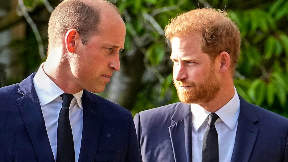 Harry enthüllt. William «packte mich am Kragen und stiess mich zu Boden»