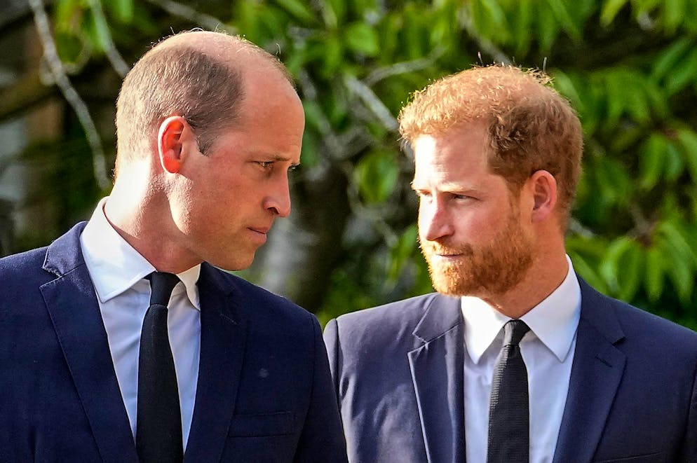 Prinz William wird der nächste König Grossbritanniens. Seitdem sich Prinz Harry (r) vom britischen Königshaus gelöst hat, ist das Verhältnis zwischen ihm und seinem Bruder Prinz William angespannt.