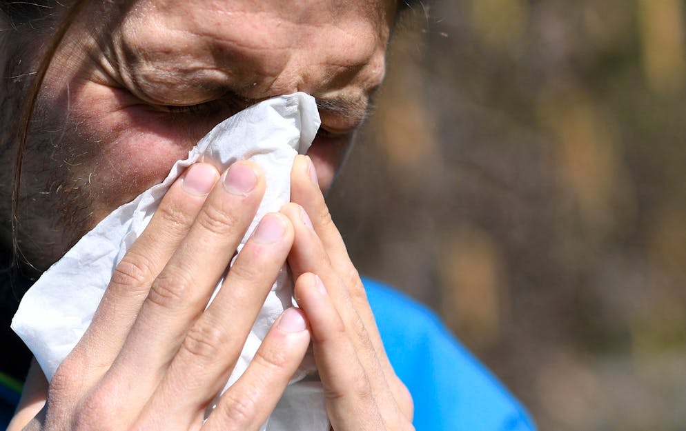 Die Haselnuss blüht mancherorts schon seit Dezember und kann Allergikern zu schaffen machen.