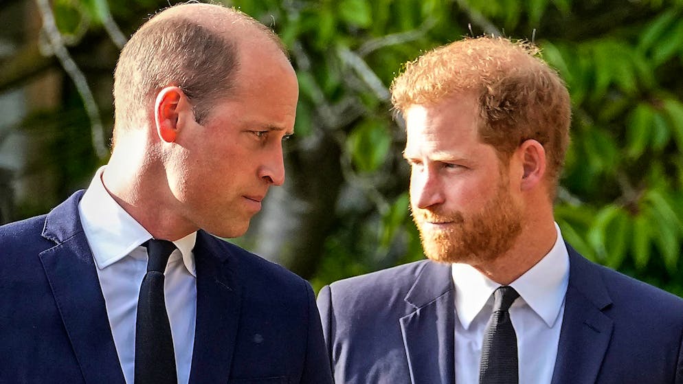 Charles zu Harry und William. «Macht meine letzten Jahre nicht zum Elend»