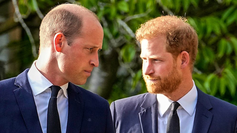«Harry kann seinem Bruder und seinem Vater verzeihen und sich mit der Situation versöhnen, da braucht er die beiden nicht zwingend dazu»: Katrin Lukas über den Zwist zwischen den Brüdern William und Harry.