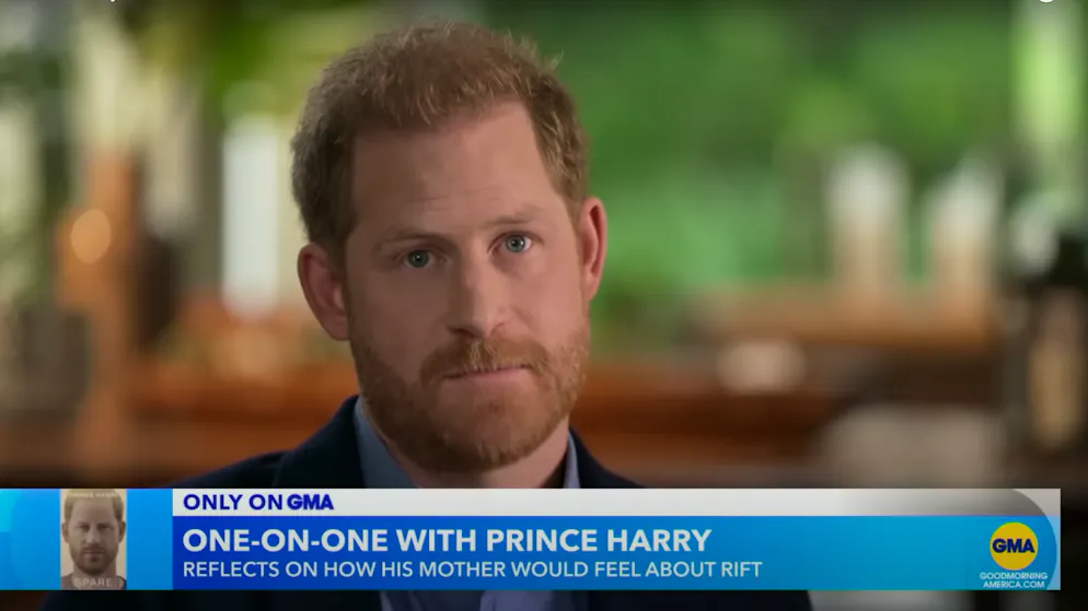 Harry über Royal-Familie. «Riss zwischen uns konnte schon vor dem Buch nicht grösser sein»