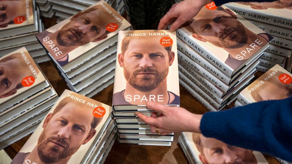 Autorin Sybil Schreiber über Harry. «Wer aus Rache eine Biografie schreibt, sollte besser in eine Therapie»