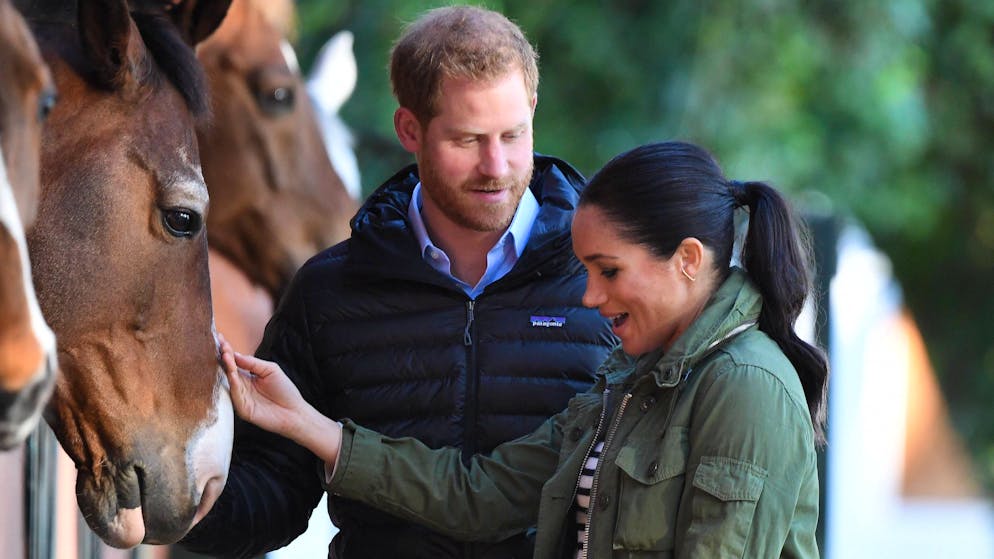 Wie reich ist der Prinz wirklich?. So finanzieren Harry und Meghan ihr Luxus-Leben