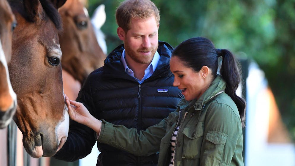 So finanzieren Harry und Meghan ihr Luxus-Leben. Harry und Meghan führen, obwohl sie den britischen Royals den Rücken gekehrt haben, einen ziemlich aufwendigen Lebensstil. Bleibt die Frage: Wie finanziert dies das Paar?