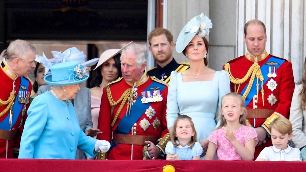 Therapeutin über Harrys Los. «Darf nichts nach aussen, kann die Familie zum Ort des Grauens werden»