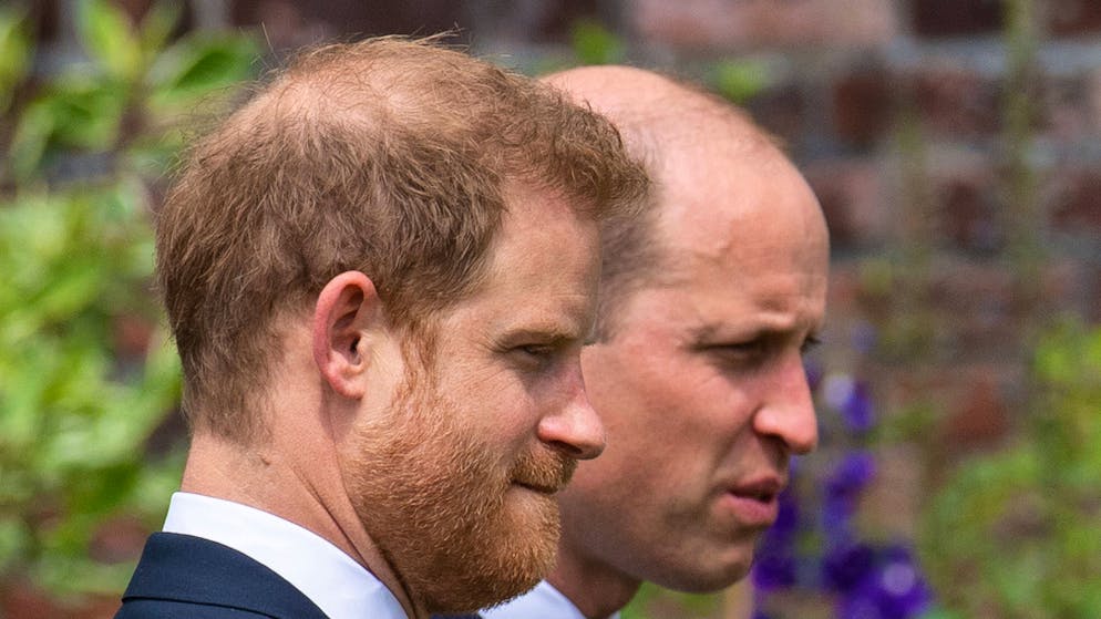 Butler packt aus. William und Harrys Rivalität fing schon in der Kindheit an