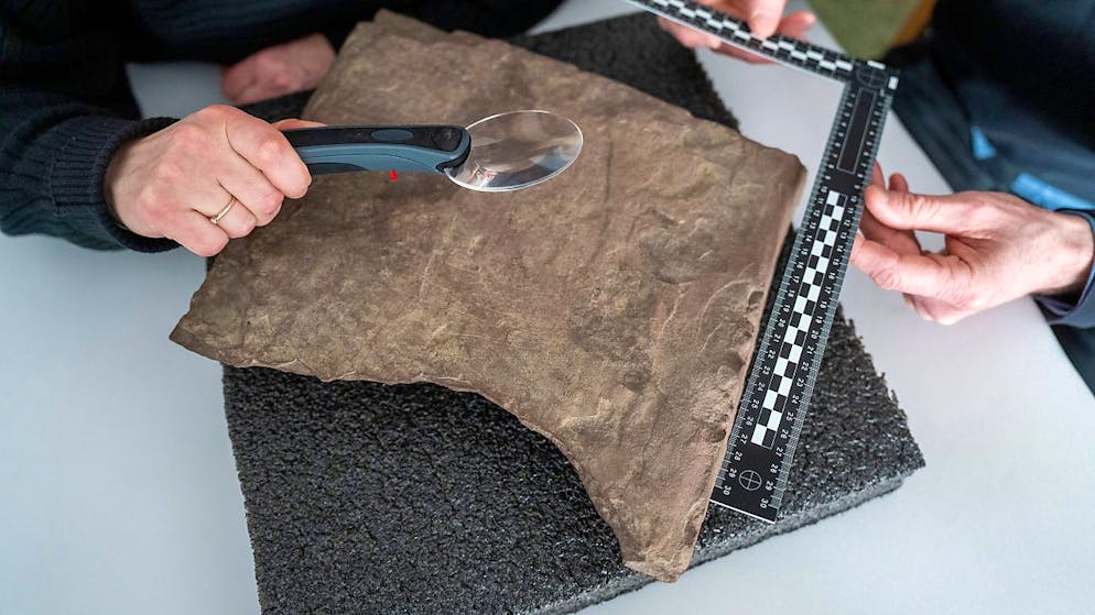 Der älteste Runenstein der Welt wird untersucht: In Norwegen ist der nach Forscherangaben älteste bislang bekannte Runenstein der Welt gefunden worden.
