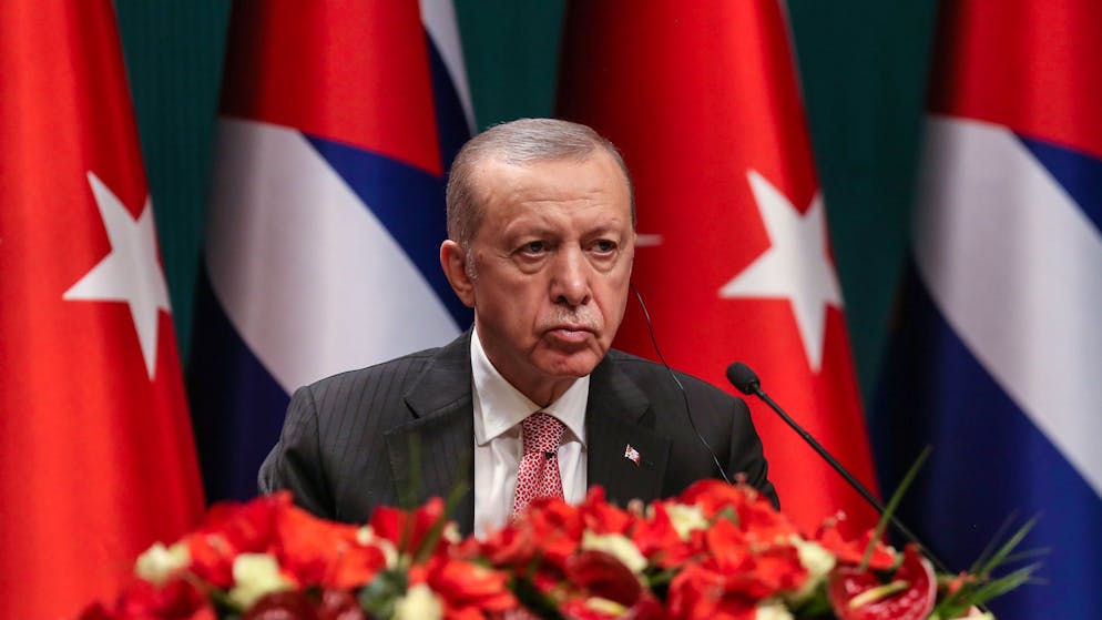 Schweden vs. Türkei. Zeitung zahlt 10'000 Kronen für die beste Erdogan-Beleidigung