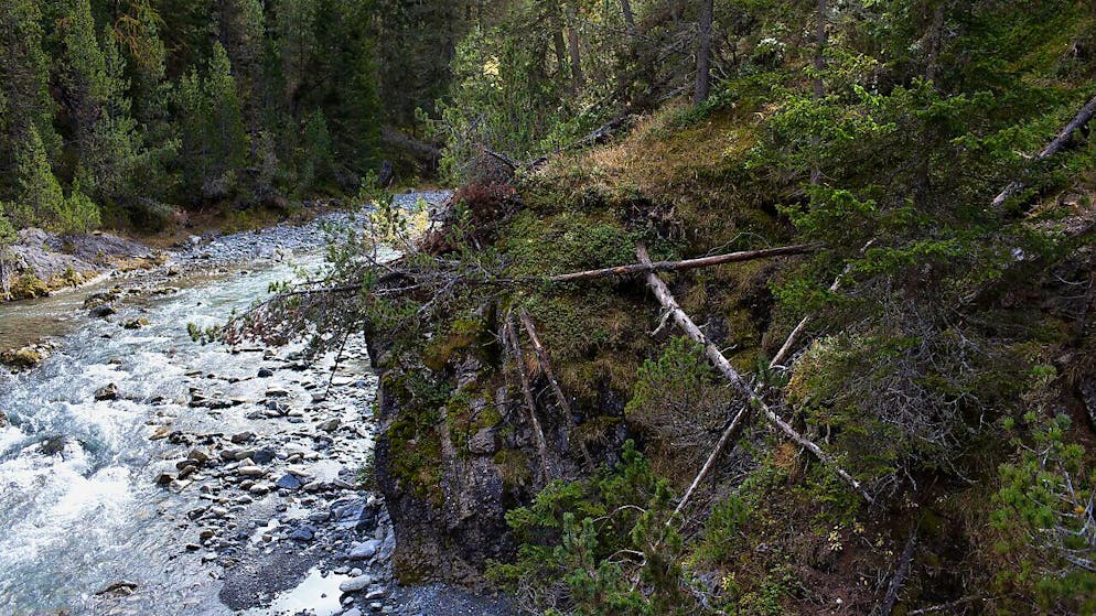 Das im Wildbach Spöl im Schweizer Nationalpark nach der PCB-Verseuchung eingesparte Wasser soll für ein hydrologisches Experiment im Inn genutzt werden. (Archivbild)