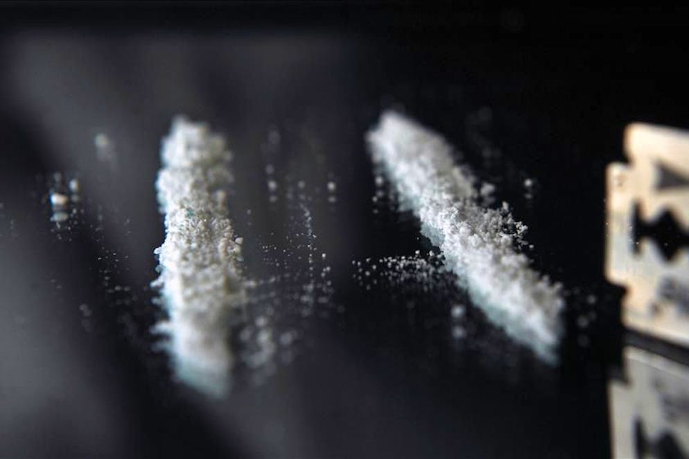 Immagine d'illustrazione.