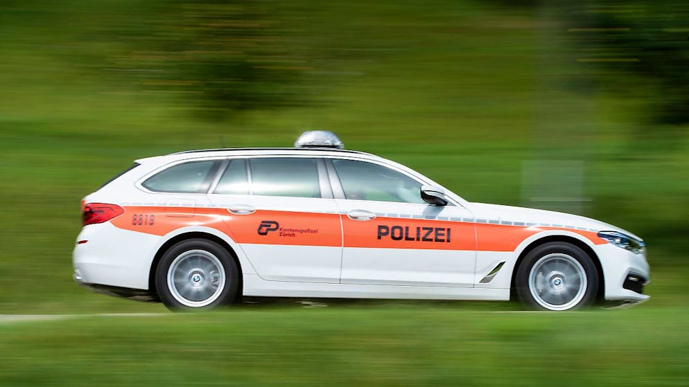 Die Kantonspolizei Zürich stoppte am Freitagmorgen einen Falschfahrer auf der A52 bei Hinwil. (Symbolbild)