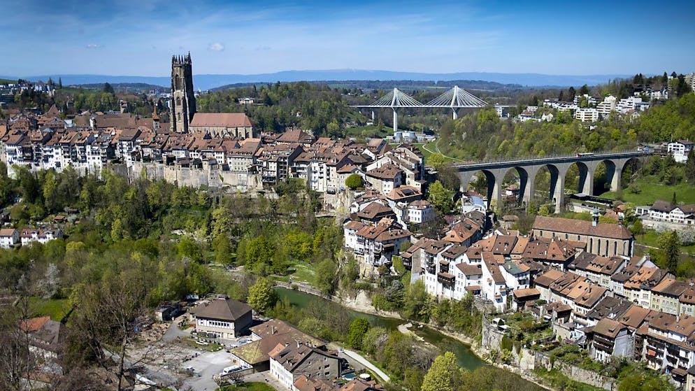 Der Freiburger Staatsrat empfing die Botschafter Frankreichs und Deutschlands zum 60-jährigen Jubiläum des Elysée-Vertrags. (Symbolbild)
