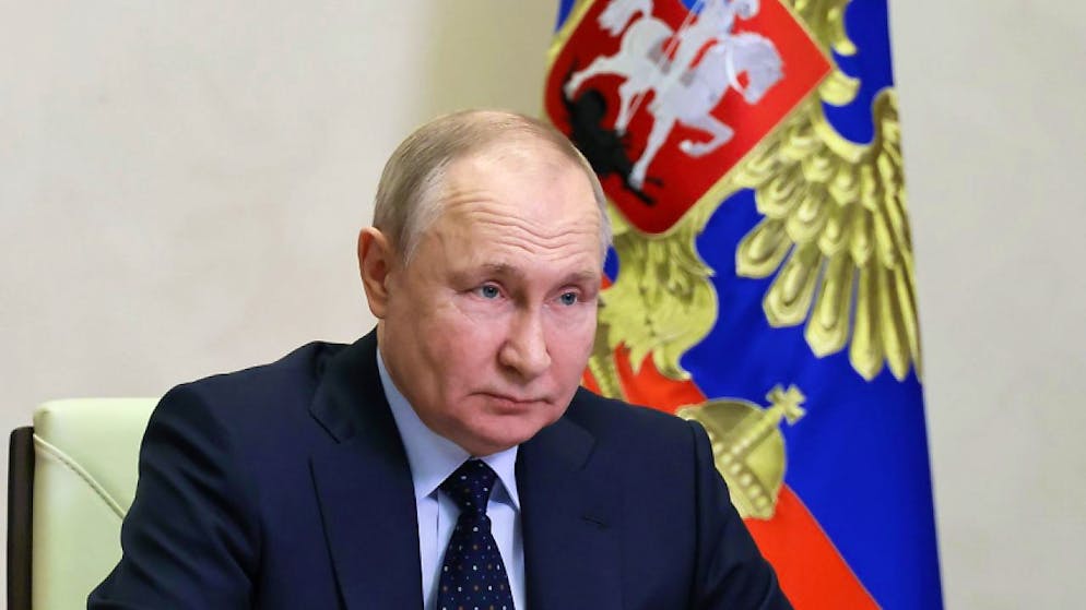 Secondo il presidente delle Federazione russa, Vladimir Putin, attualmente nel paese sussiste una carenza di alcuni prodotti farmaceutici. I prezzi dei medicinali in Russia sono aumentati.