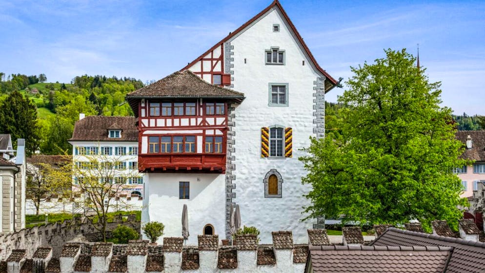 Das Museum Burg Zug wird von Stadt und Kanton Zug mitfinanziert.
