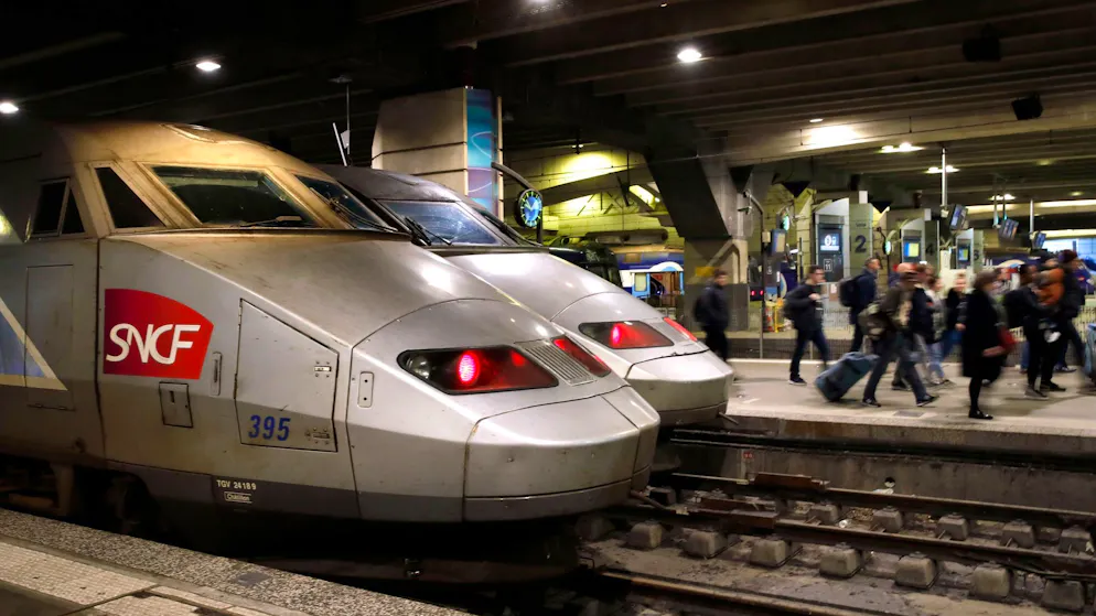 «Es ist nur eine Katze». Von Zug in Pariser Bahnhof überfahrener Kater Neko entrüstet Frankreich