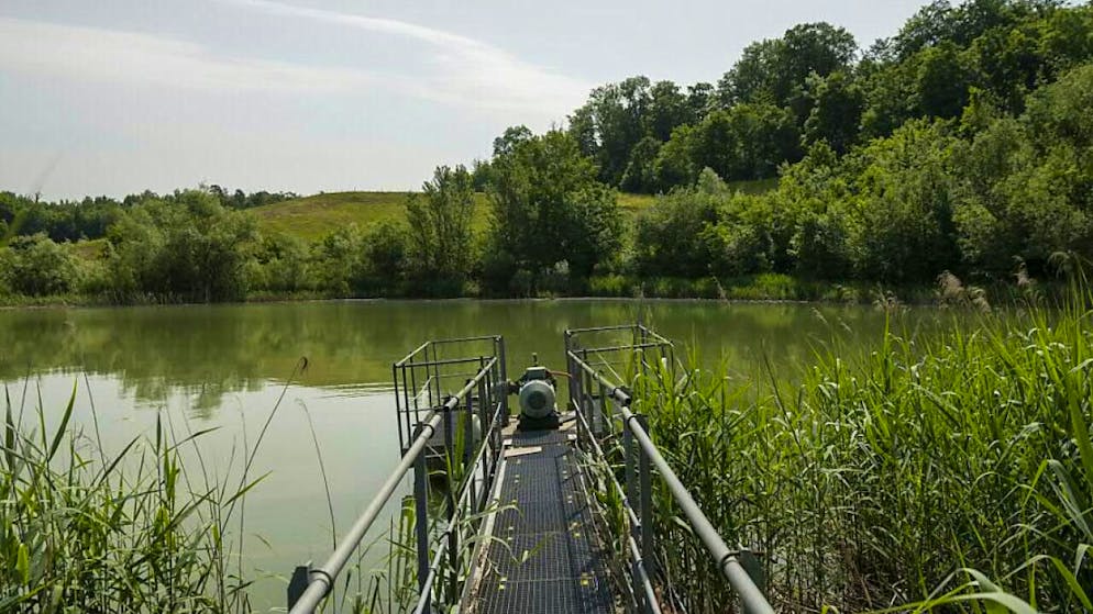 Im Kanton Aargau sollen Feuchtgebiete wie Moore besser geschützt und aufgewertet werden. Das wollen Umweltverbände mit der eingereichten Volksinitiative erreichen. (Archivbild)