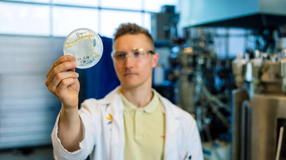 Essen aus Luft und Sonne. Proteinpulver aus CO2 als Problemlöser?