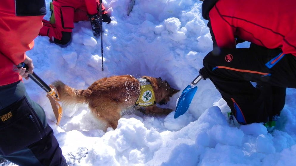 Lawine in Oberösterreich. Grossaufgebot sucht nach Verschütteten
