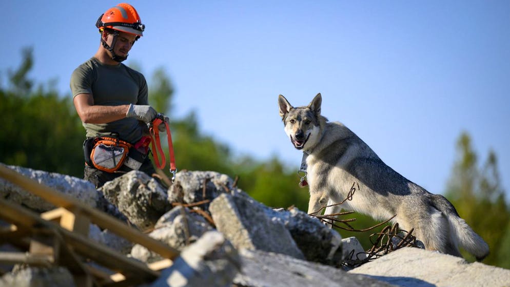 Ein Mitglied des Schweizer Redog-Suchhundeteams mit seinem Spürhund. Sechs Personen reisen am Montag in die Türkei, um die türkischen Rettungsorgansiation GEA bei der Suche nach Überlebenden zu unterstützen. (Archivbild)
