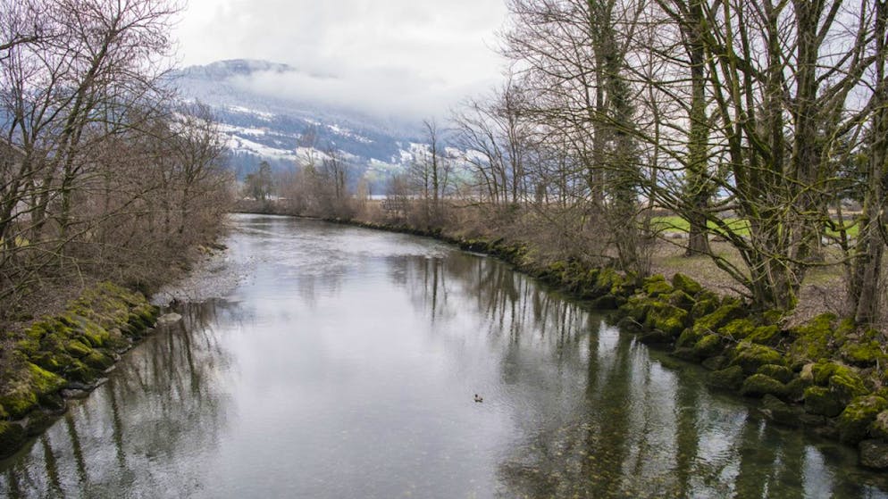 Das Gebiet der Muotamündung in Ingenbohl soll renaturiert werden.