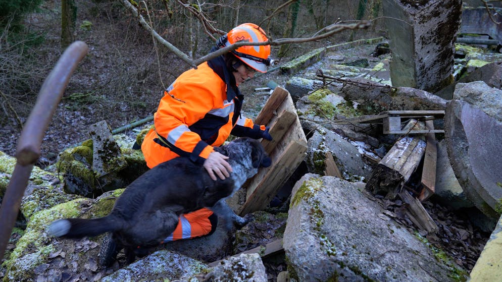 Suchhunde im Training. So schnell geht es, bis das verschüttete Opfer gefunden ist