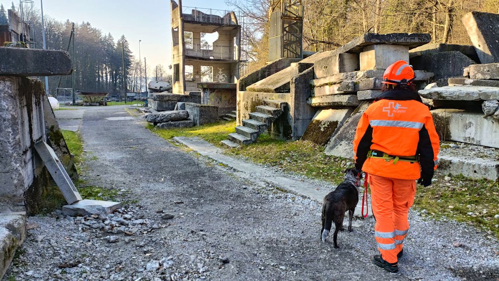 Jamaika kurz vor ihrem Übungseinsatz: Innert Sekunden erklimmt die Hündin den Steinhaufen und findet die Person, die sich unter den Trümmern versteckt hat. Ein Einsatz dauert je nach Bedingung zwischen 10 und 20 Minuten.