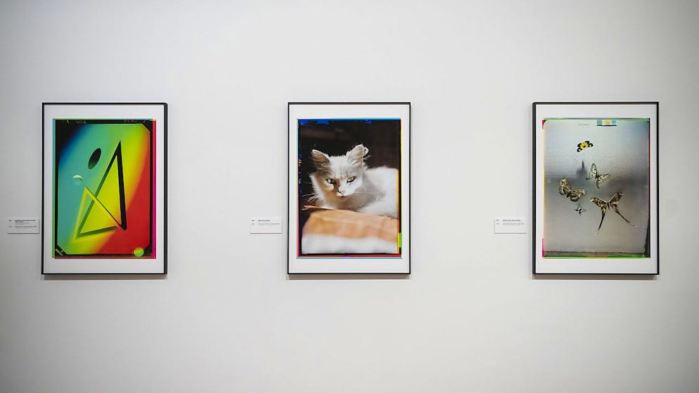 MASI Lugano zeigt Farbaufnahmen von Werner Bischof - Gallery. Experiment mit Farben: Zwischen 1939 und 1949 hat Werner Bischof mit seiner Devin Tri-Color Camera gearbeitet.