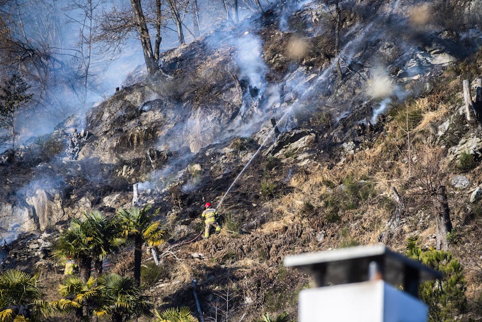 Solduno: incendio boschivo. Nella foto, l'incendio boschhivo in zona Madonna della Fontana sopra l'abitato del quartiere.. © Ti-Press / Samuel Golay