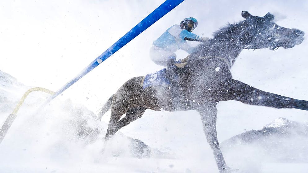 Spektakel auf Schnee: das White Turf. (Archivaufnahme)