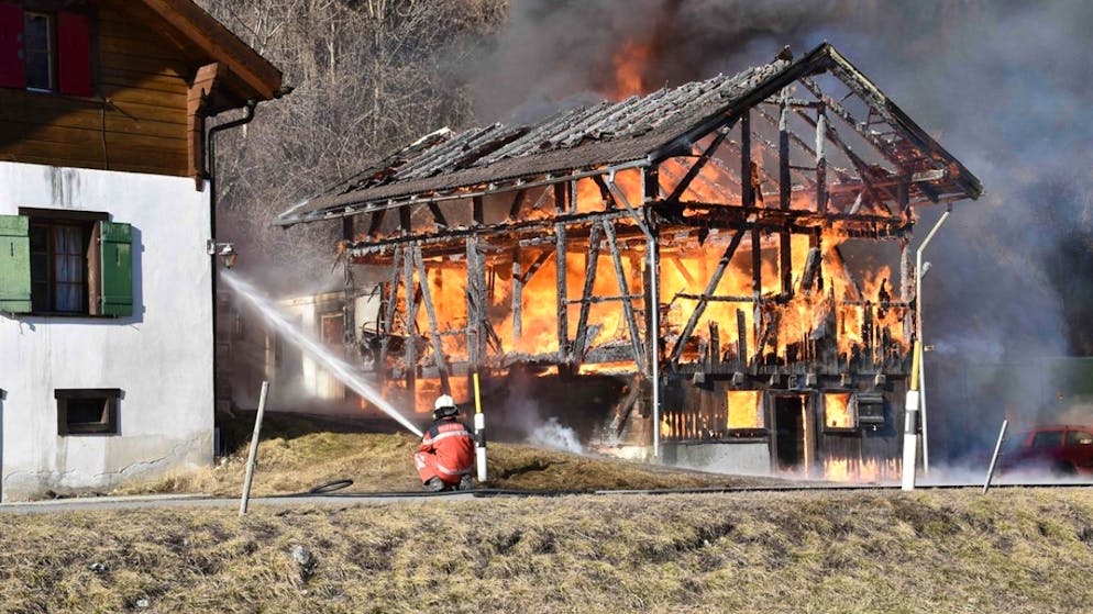 Ein Übergreifen der Flammen auf das Wohnhaus konnte die Feuerwehr am Sonntagvormittag beim Stallbrand in Cazis in Graubünden verhindern.