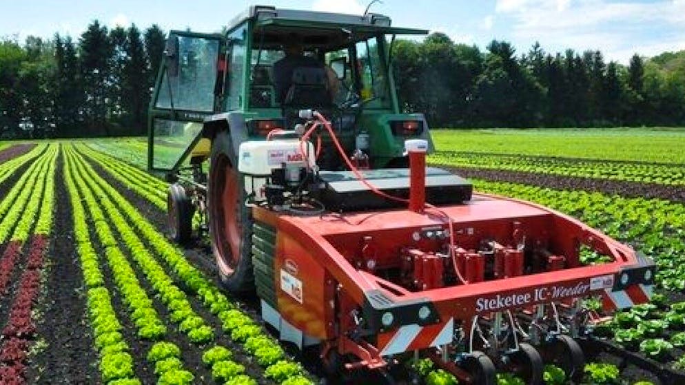 Der kombinierte Hack- und Spritzroboter kann den Fungizidverbrauch in Salatkulturen um die Hälfte senken und den Herbizideinsatz überflüssig machen.