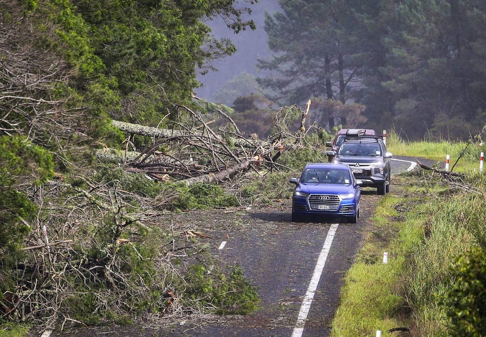 Cars dodge fallen trees on a road at Cook's Beach, east of Auckland, New Zealand, Tuesday, Feb. 14, 2023. The New Zealand government declared a state of emergency across the country's North Island, which has been battered by Cyclone Gabrielle. (Mike Scott/New Zealand Herald via AP)