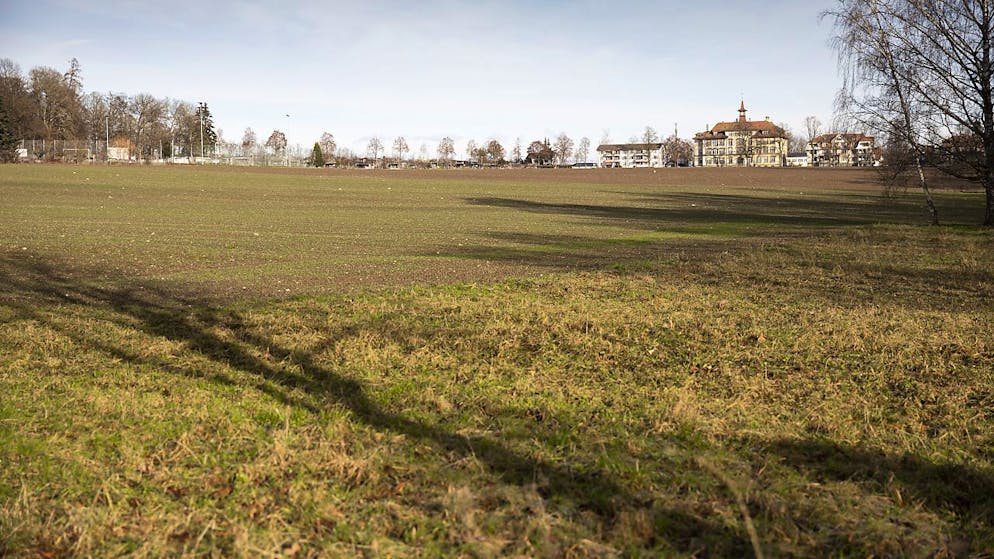 Geht es nach dem Nein-Komitee, sollen die Stadtberner Stimmberechtigten im März die geplante Überbauung auf dem Viererfeld stoppen. (Archivbild)