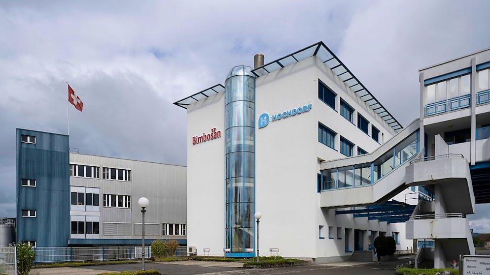 Die Gemeinde Hochdorf hat auch dank der Rückvermietung des Südiareals des Milchverarbeiters finanziell besser abgeschlossen. (Symbolbild)