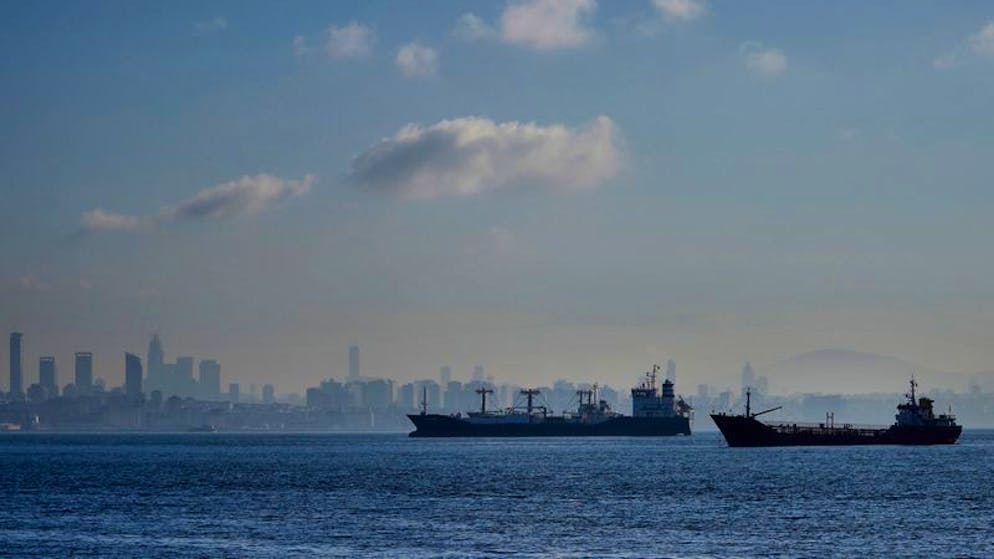 Trotz einer von den Vereinten Nationen vermittelten Vereinbarung sind die Getreidelieferungen aus der Ukraine im Januar deutlich zurückgegangen. 