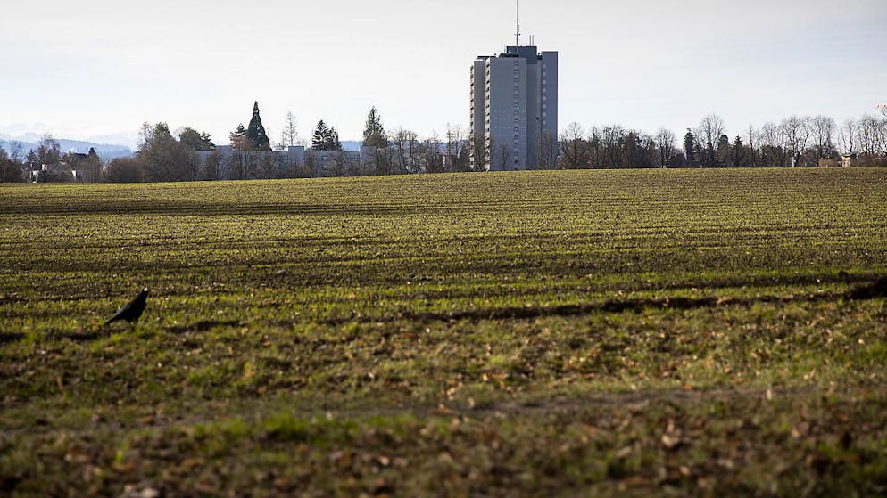 Das Viererfeld, auf dem ein neues Stadtquartier entstehen soll, liegt nahe am Berner Stadtzentrum. (Archivbild)