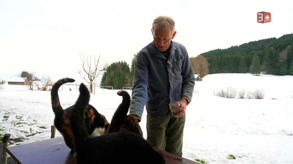 Pius ist 58 Jahre alt und betreibt in Appenzell-Innerrhoden einen Hof, der schon seinem Urgrossvater gehörte. Der Milchbauer treibt regelmässig in seinem eigenen Fitness-Raum und… 