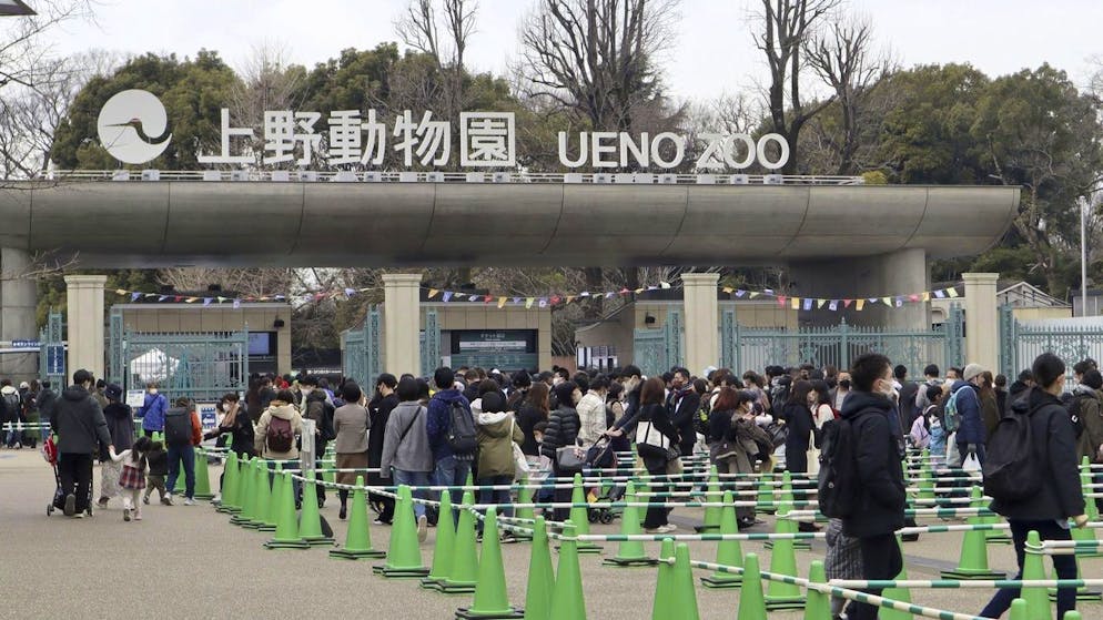 Zahlreiche Menschen standen am Sonntag am Zoo in Tokio an, um Xiang Xiang zu verabschieden.