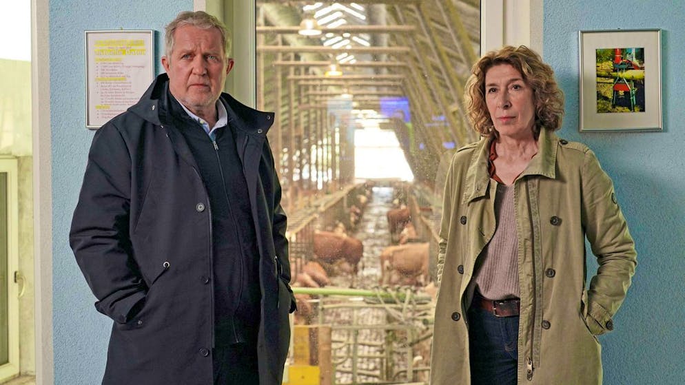 Kann man genetisch bedingt jung an Demenz erkranken?. Moritz Eisner (Harald Krassnitzer) und seine Kollegin Bibi Fellner (Adele Neuhauser) recherchieren in einem Betrieb, der «optimiert» wird.