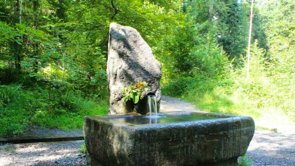 Aus dem Glasbrunnen im Berner Bremgartenwald sprudelt wieder Wasser. (Archivbild)